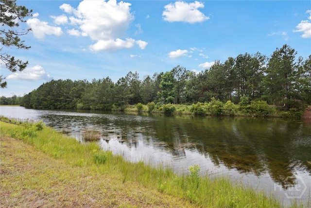 112 Kingsley Dr N, Guyton, GA 31312 - water view featuring a forest