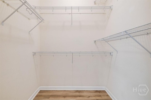 7 Hartland Ct, Savannah, GA 31407 - spacious closet featuring light wood-style floors