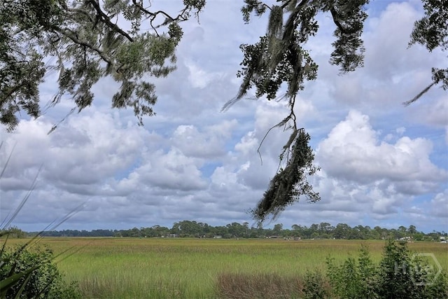 206 Bonaventure Rd, Thunderbolt, GA 31404 - view of nature featuring rural landscape