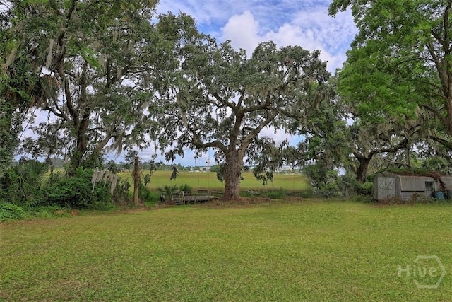 206 Bonaventure Rd, Thunderbolt, GA 31404 - view of grassy yard with a shed