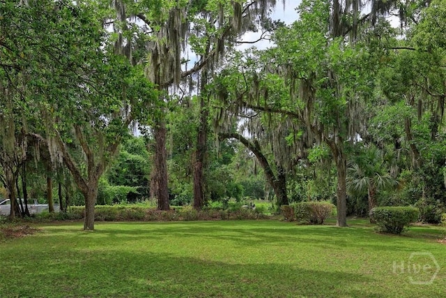 206 Bonaventure Rd, Thunderbolt, GA 31404 - view of green lawn