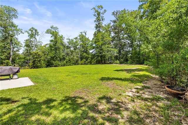 136 Ramsey Way, Rincon, GA 31326 - view of green lawn with a patio area
