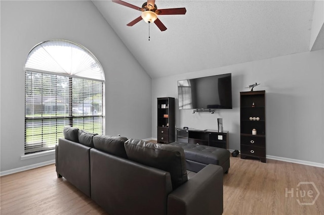 807 Hidden Hollow Cir, Hinesville, GA 31313 - living area featuring a ceiling fan, wood finished floors, and high vaulted ceiling