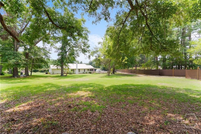 1072 Burtons Ferry Highway, Sylvania, GA 30467 - view of yard