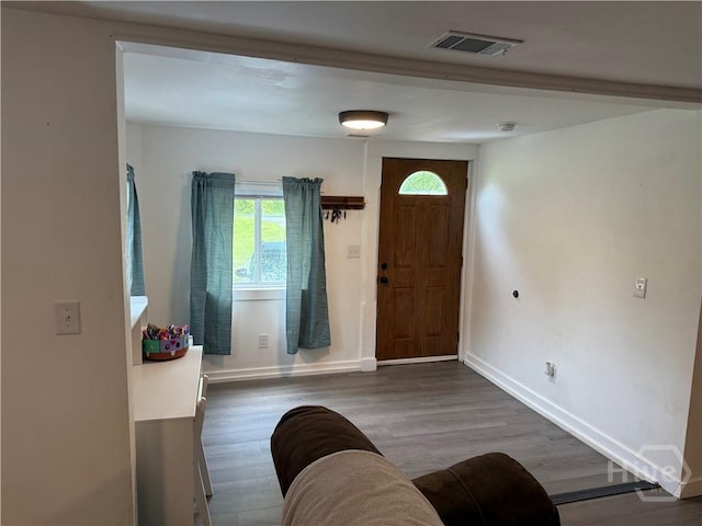 3052 Effingham Hwy, Sylvania, GA 30467 - foyer entrance featuring baseboards and wood finished floors