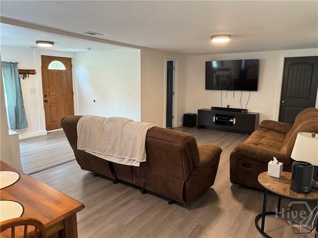 3052 Effingham Hwy, Sylvania, GA 30467 - living room featuring light wood finished floors