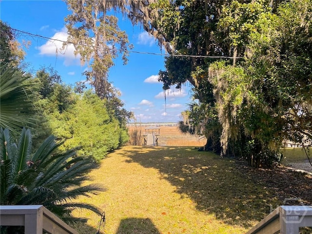 606 Dancy Ave, Savannah, GA 31419 - view of grassy yard