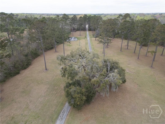 876 Old Darien Hwy, Riceboro, GA 31323 - photo 42