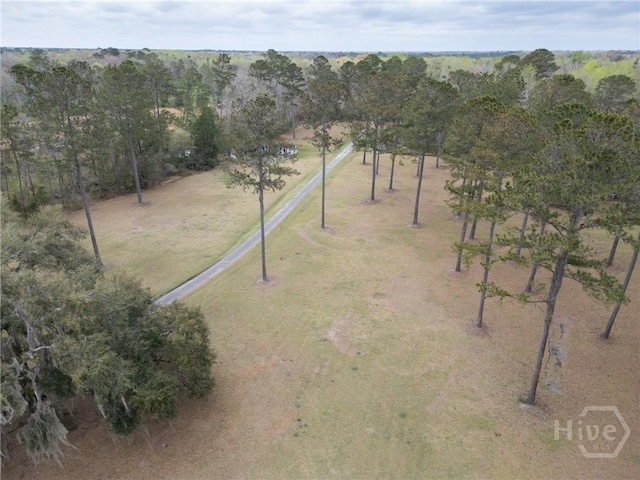 876 Old Darien Hwy, Riceboro, GA 31323 - photo 43