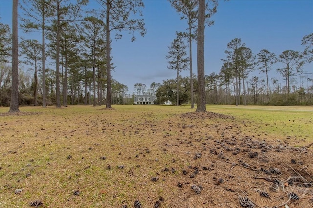 876 Old Darien Hwy, Riceboro, GA 31323 - photo 44