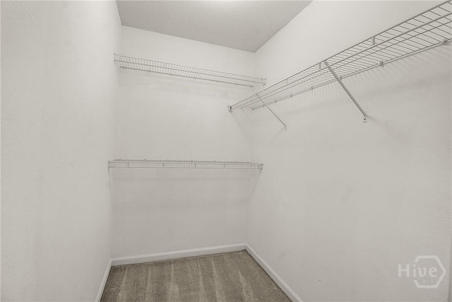 99 Dailey Dr, Guyton, GA 31312 - spacious closet featuring carpet flooring