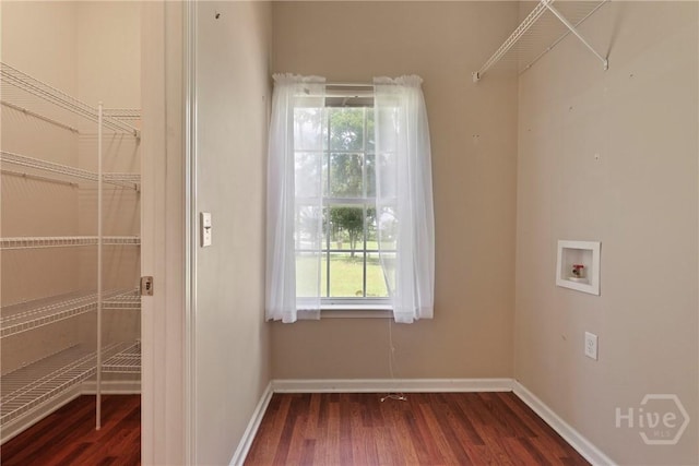 98 Peregrine Cir, Richmond Hill, GA 31324 - laundry area featuring hookup for a washing machine, dark wood-style floors, and healthy amount of natural light