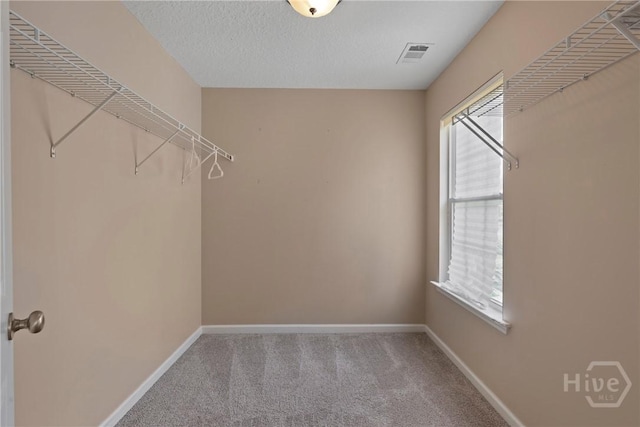 98 Peregrine Cir, Richmond Hill, GA 31324 - spacious closet with carpet floors