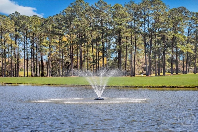 98 Peregrine Cir, Richmond Hill, GA 31324 - water view