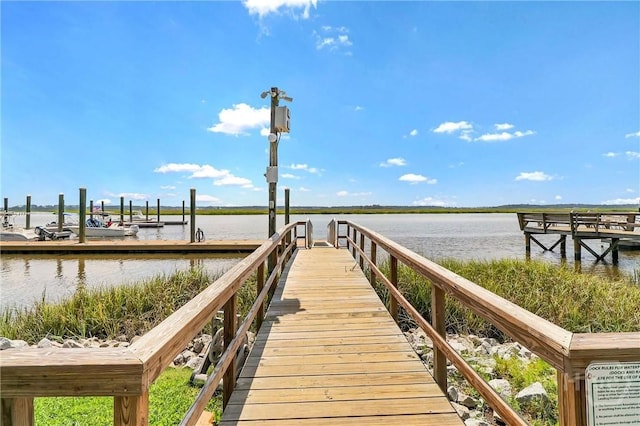 98 Peregrine Cir, Richmond Hill, GA 31324 - dock area featuring a water view