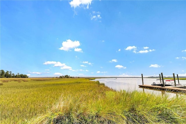 98 Peregrine Cir, Richmond Hill, GA 31324 - water view with a dock
