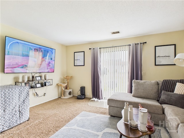 901 Olmstead Dr Unit 70, Hinesville, GA 31313 - living room with carpet flooring