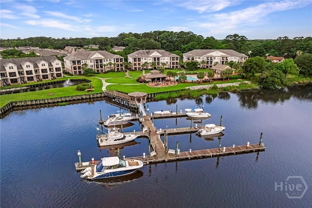 2805 River Oaks Dr Unit 2805, Richmond Hill, GA 31324 - dock area with a water view, a yard, and view of scattered trees