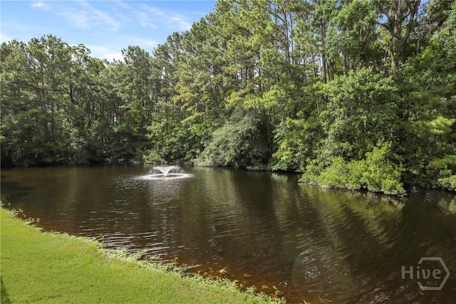 706 Southbridge Blvd, Savannah, GA 31405 - water view featuring a heavily wooded area