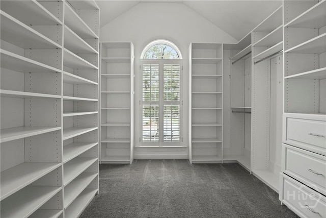 706 Southbridge Blvd, Savannah, GA 31405 - spacious closet with carpet flooring and lofted ceiling