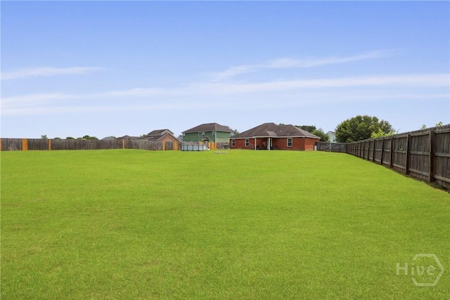 308 NE Mancey Garrason Loop, Ludowici, GA 31316 - view of yard