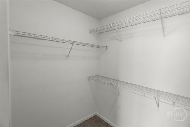 116 Gloucester Dr, Midway, GA 31320 - view of walk in closet