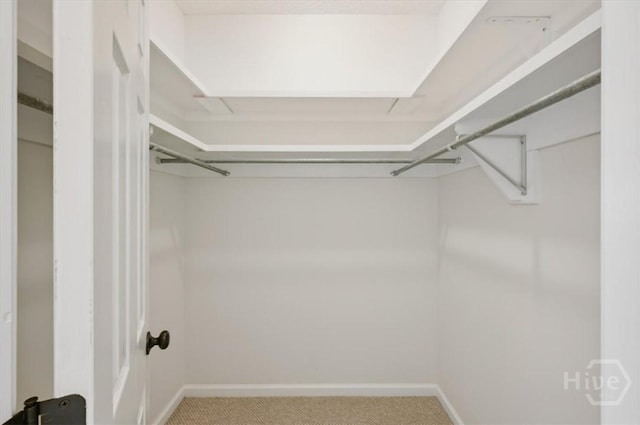301 Marshview Dr, Richmond Hill, GA 31324 - walk in closet with carpet floors