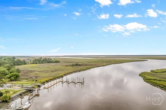 301 Marshview Dr, Richmond Hill, GA 31324 - water view