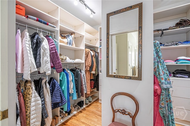 3 She Crab Cir, Savannah, GA 31411 - walk in closet featuring wood finished floors