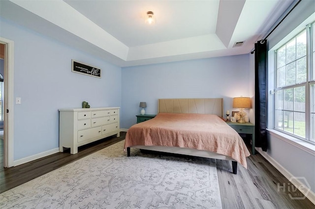 26 Dianne Mackenzie Way, Savannah, GA 31419 - bedroom with wood finished floors and a tray ceiling