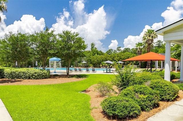 26 Dianne Mackenzie Way, Savannah, GA 31419 - view of home's community with a pool and a lawn