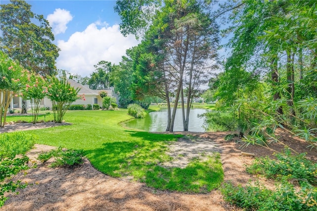 1 Broomsedge Ln, Savannah, GA 31411 - view of grassy yard with a water view