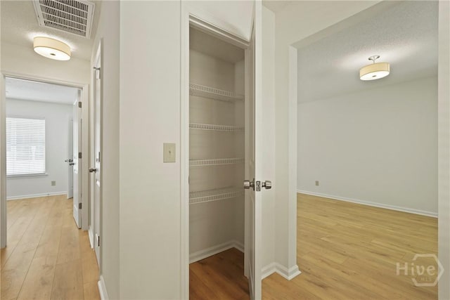 127 Laurel Green Ct, Savannah, GA 31419 - corridor featuring light wood-type flooring