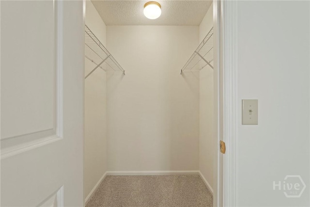 127 Laurel Green Ct, Savannah, GA 31419 - spacious closet with carpet