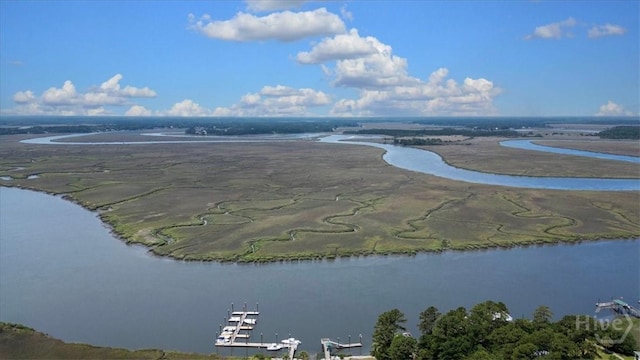 24 Marsh Hen Ct, Richmond Hill, GA 31324 - aerial view of a large body of water