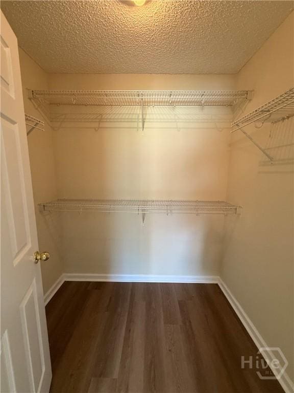 150 Knotty Pine Cir, Springfield, GA 31329 - walk in closet featuring dark wood-style flooring
