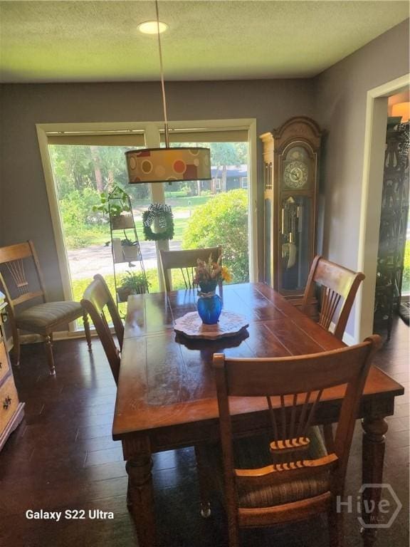 207 Devonshire Rd, Savannah, GA 31410 - photo 7