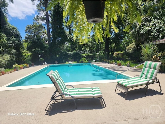 207 Devonshire Rd, Savannah, GA 31410 - photo 10