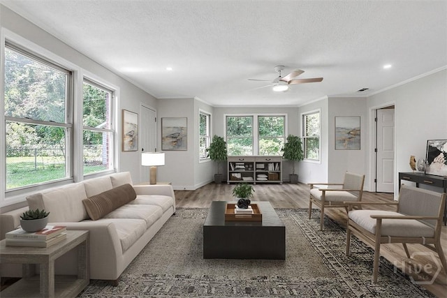 9 Van Nuys Blvd, Savannah, GA 31419 - photo 8
