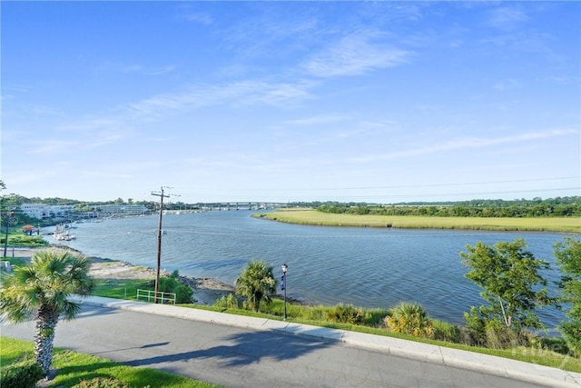 3113 River Dr Unit 10, Savannah, GA 31404 - water view