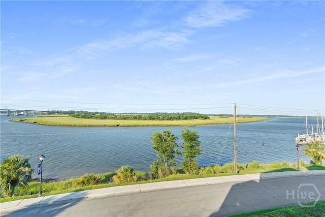3113 River Dr Unit 10, Savannah, GA 31404 - water view
