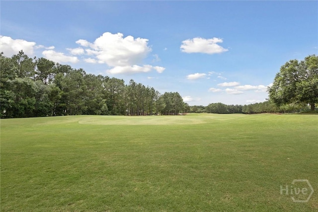 195 Holloway Hl, Pooler, GA 31322 - photo 34