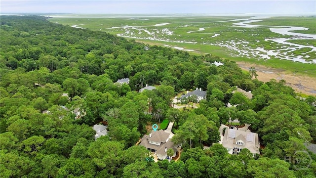 26 Little Comfort Rd, Savannah, GA 31411 - aerial overview of property's location with a forest