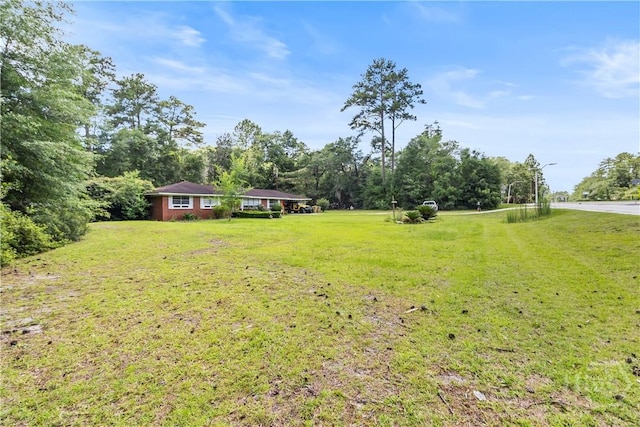 106 S Old Augusta Rd S, Rincon, GA 31326 - view of green lawn