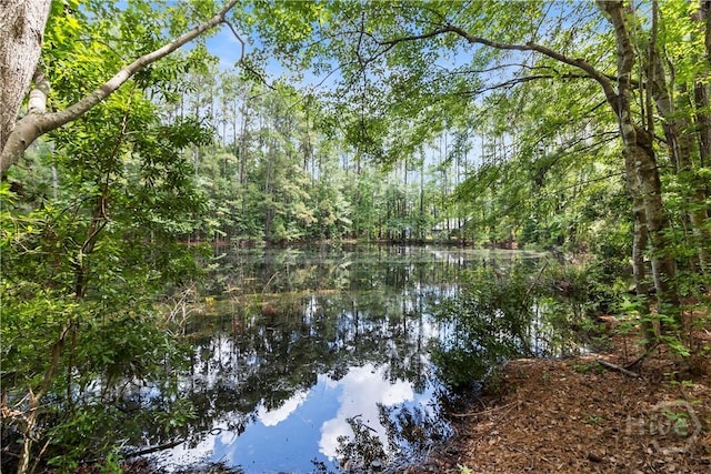 106 S Old Augusta Rd S, Rincon, GA 31326 - water view featuring a heavily wooded area