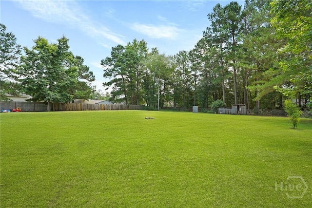 1175 Ralph Rahn Rd, Rincon, GA 31326 - view of yard
