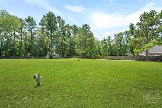 1175 Ralph Rahn Rd, Rincon, GA 31326 - view of yard