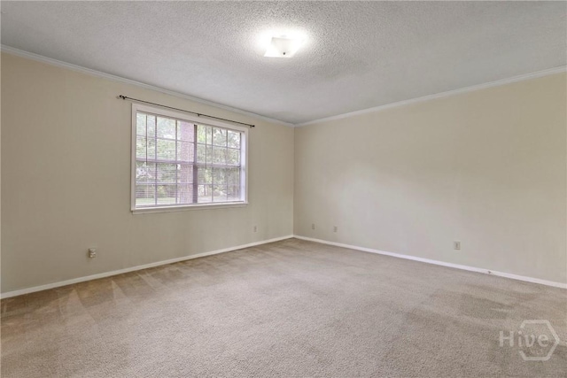 429 Edgewater Rd, Savannah, GA 31406 - carpeted spare room with crown molding and a textured ceiling