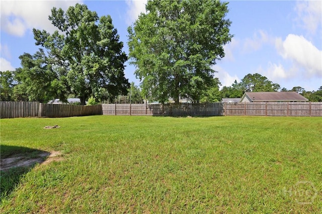 43 Gracie Ln NE, Ludowici, GA 31316 - view of fenced backyard