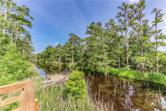 55 Glen Way, Richmond Hill, GA 31324 - water view with a heavily wooded area